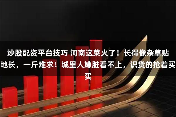 炒股配资平台技巧 河南这菜火了！长得像杂草贴地长，一斤难求！城里人嫌脏看不上，识货的抢着买